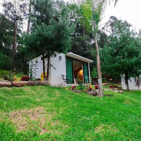 Romanticas Cabañas En Bosque Acaxochitlán Exterior foto