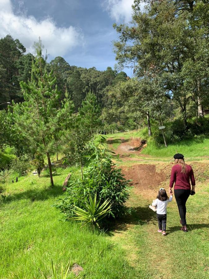 Romanticas Cabañas En Bosque Acaxochitlán Exterior foto